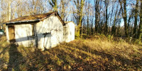 terrain à CHATEAU L EVEQUE (24460)