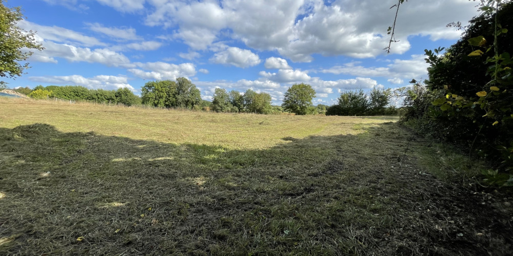 terrain à BEAUMONTOIS EN PERIGORD (24440)