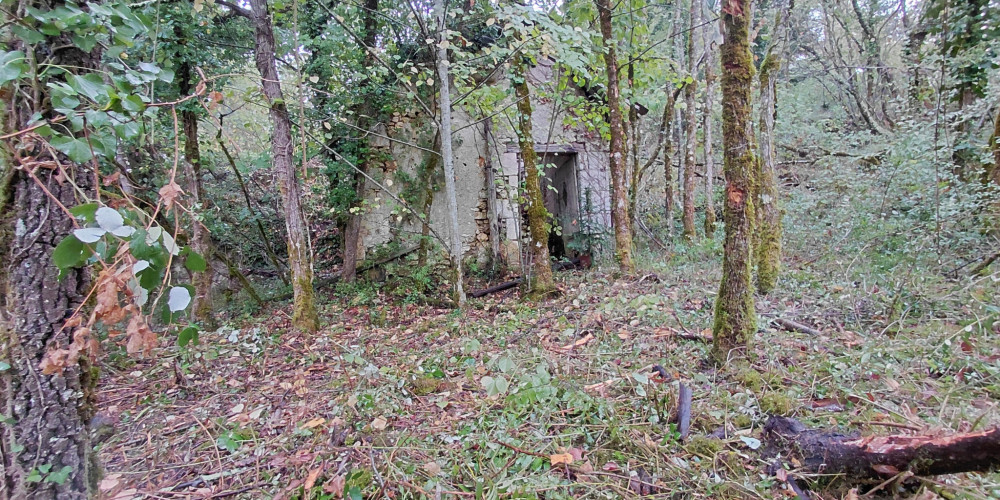 terrain à BRANTOME EN PERIGORD (24310)