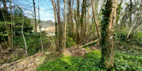 terrain à CHANCELADE (24650)