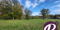 terrain à LALINDE (24150)