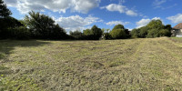 terrain à BEAUMONTOIS EN PERIGORD (24440)