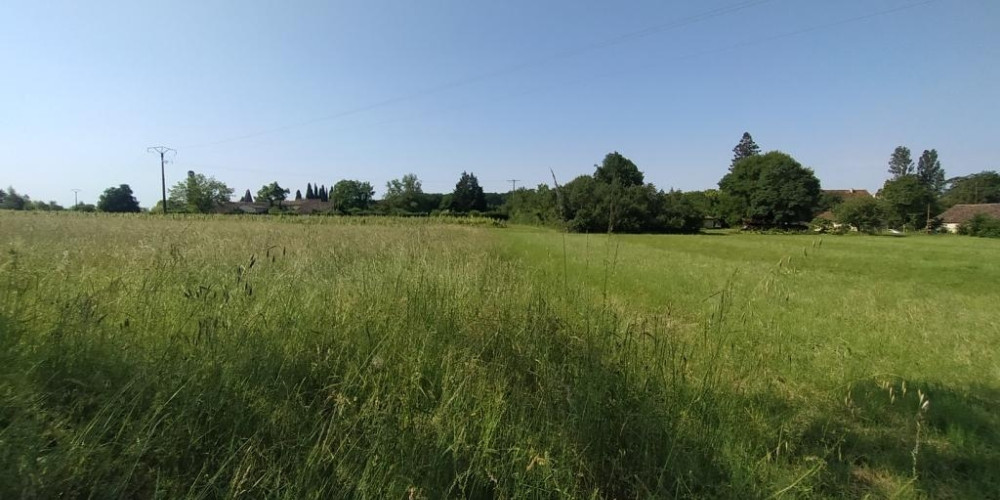 terrain à SAUSSIGNAC (24240)