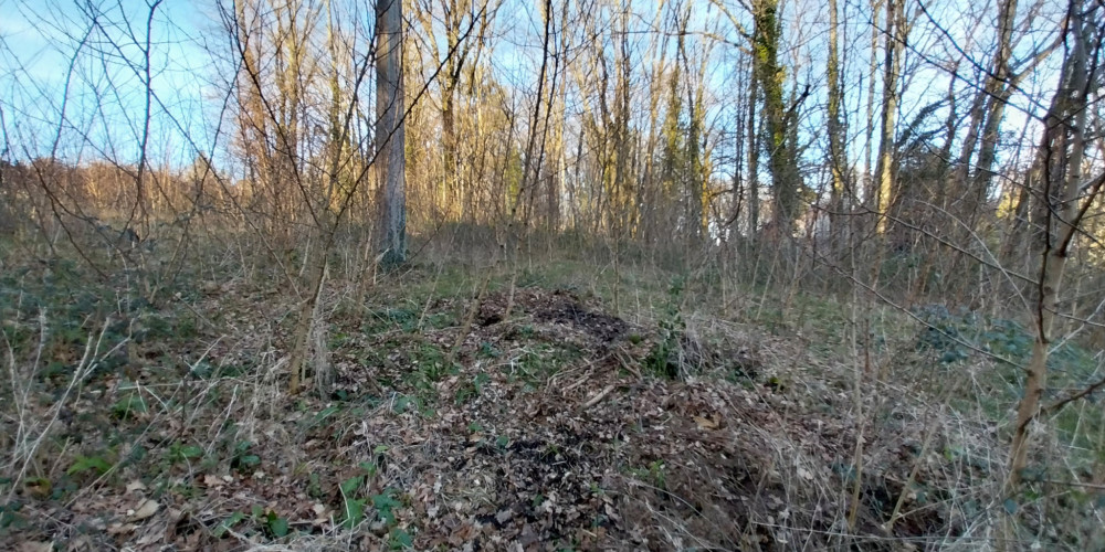 terrain à CHATEAU L EVEQUE (24460)