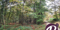 terrain à BERGERAC (24100)