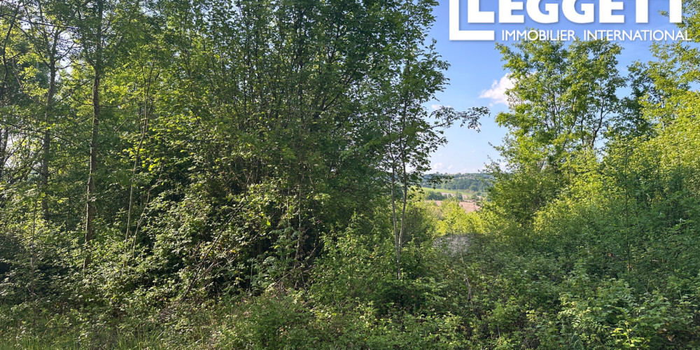 terrain à BERTRIC BUREE (24320)