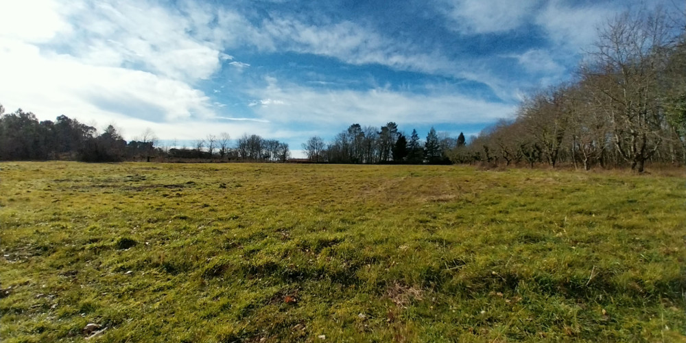 terrain à BUSSAC (24350)