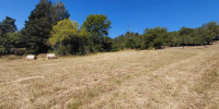 terrain à CHATEAU L EVEQUE (24460)
