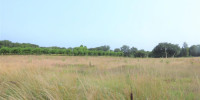 terrain à ST AUBIN DE CADELECH (24500)