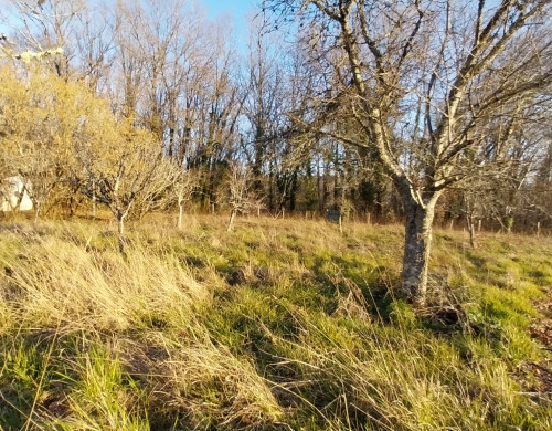 terrain  CHATEAU L EVEQUE