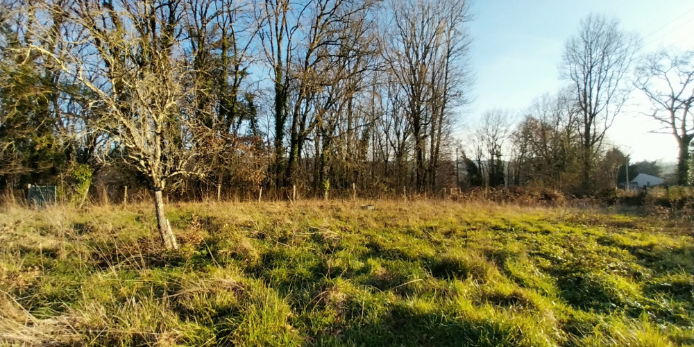 terrain à CHATEAU L EVEQUE (24460)