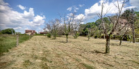 terrain à SARLAT LA CANEDA (24200)