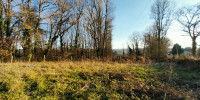 terrain à CHATEAU L EVEQUE (24460)