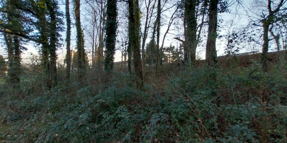 terrain à CHATEAU L EVEQUE (24460)