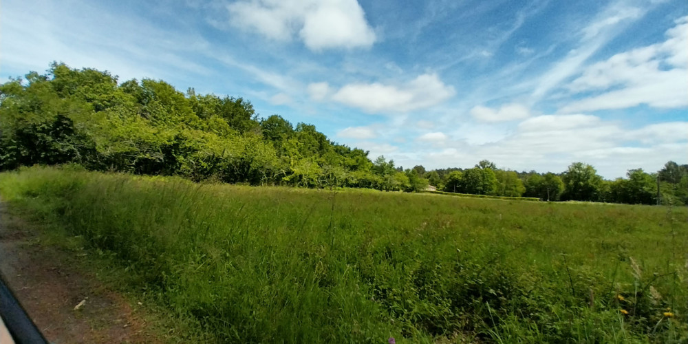 terrain à BUSSAC (24350)