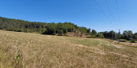 terrain à CHATEAU L EVEQUE (24460)