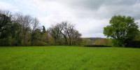 terrain à PLAISANCE (24560)