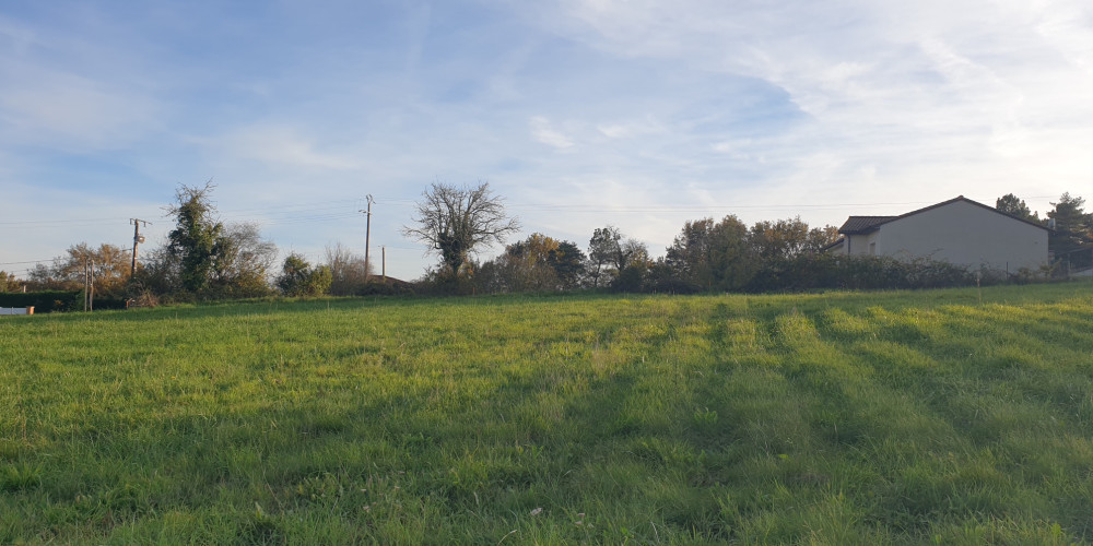 terrain à CHANCELADE (24650)