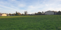 terrain à CHANCELADE (24650)