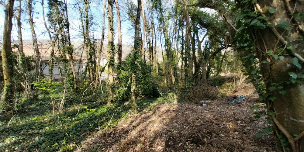 terrain à CHANCELADE (24650)