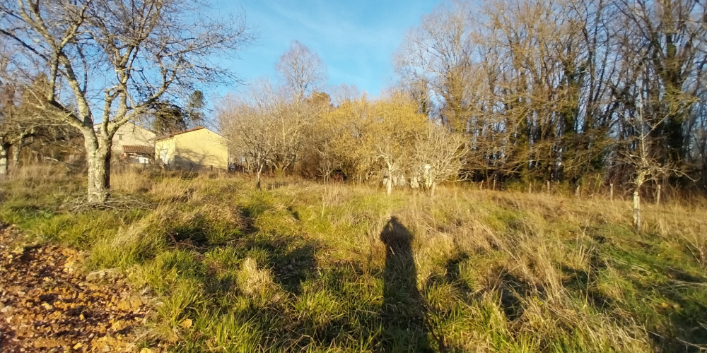 terrain à CHATEAU L EVEQUE (24460)
