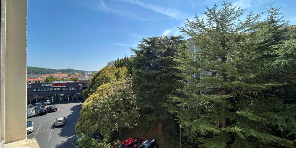 appartement à PERIGUEUX (24000)