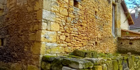 maison à ST LEON SUR VEZERE (24290)