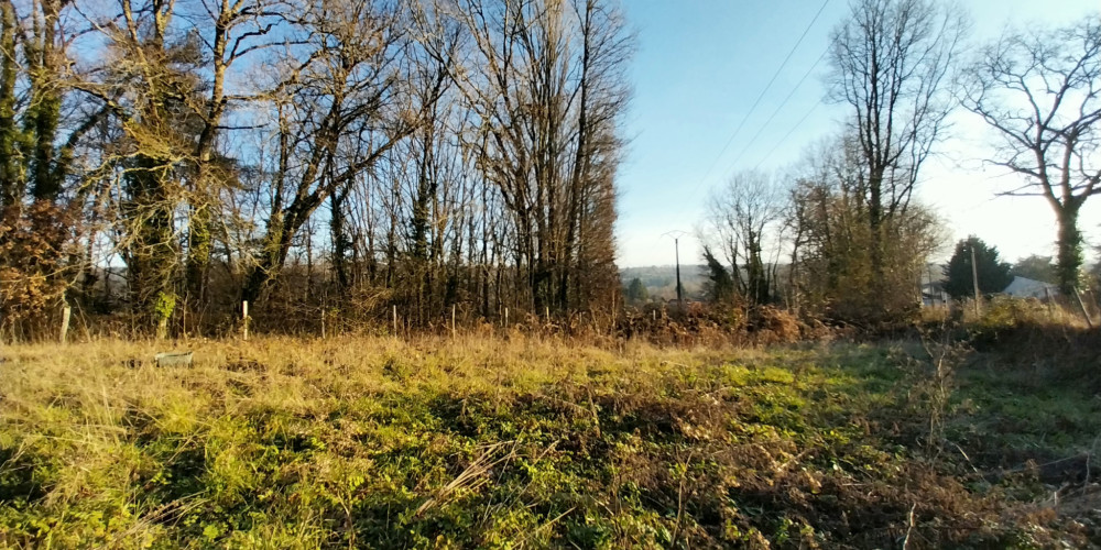 terrain à CHATEAU L EVEQUE (24460)