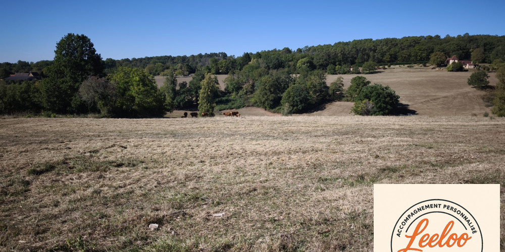 terrain à TAMNIES (24620)