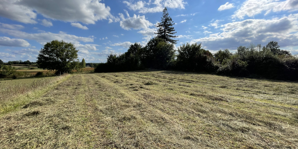 terrain à BEAUMONTOIS EN PERIGORD (24440)