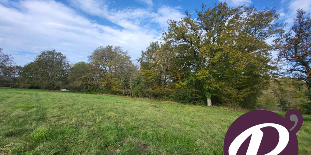 terrain à LALINDE (24150)