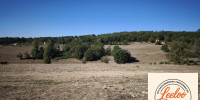 terrain à TAMNIES (24620)